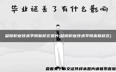 益陽職業技術學院高新校區 教育軟件開發的搖籃與實景畫卷