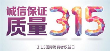 山東銀馳汽車財務咨詢 專業服務護航企業發展